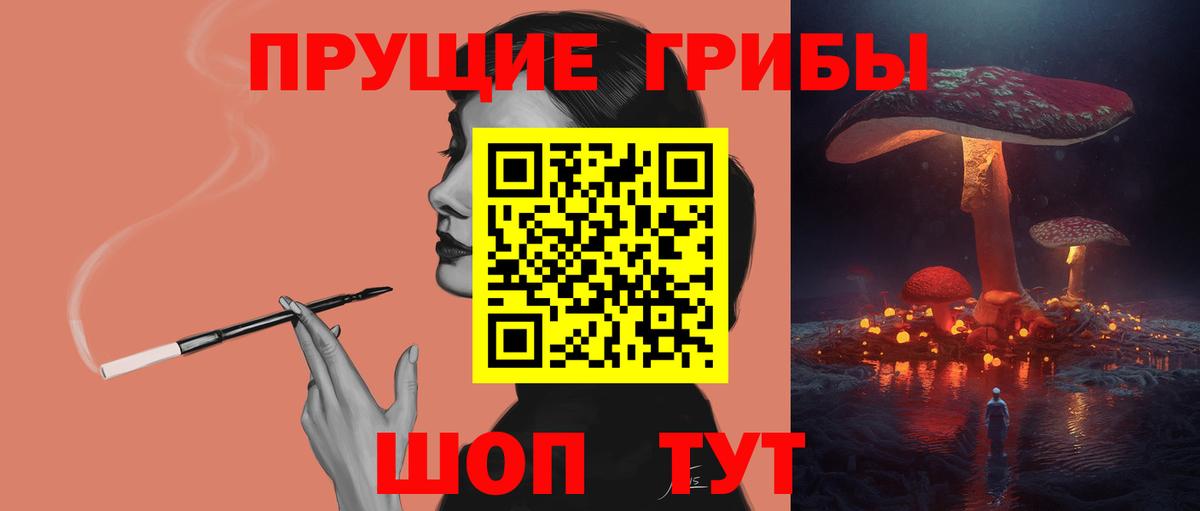 Красноперекопск  Псилоцибиновые грибы Psilocybine cubensis  Вход с VPN 